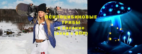 сатива Армянск