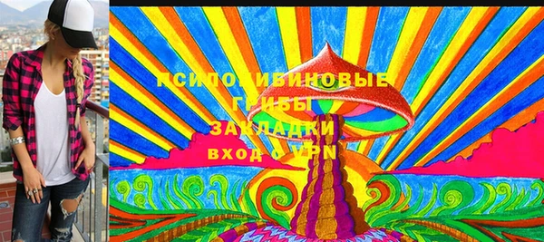 PSILOCYBIN Аркадак