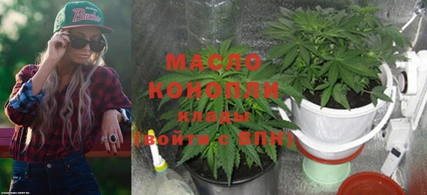 PSILOCYBIN Аркадак