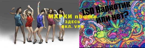 PSILOCYBIN Аркадак