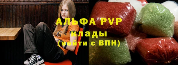 PSILOCYBIN Аркадак