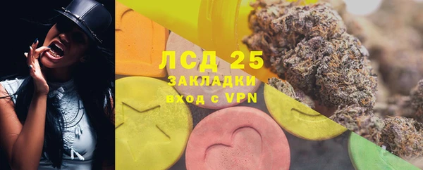 PSILOCYBIN Аркадак