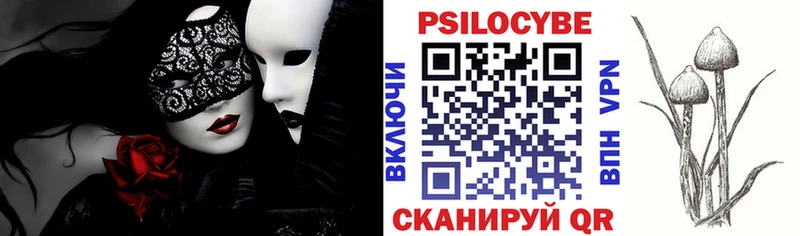 Галлюциногенные грибы мицелий наркошоп Волхов
